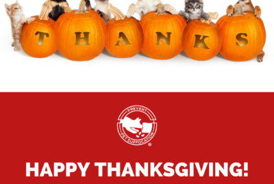 Happy Thanksgiving from Prevent Pet Suffocation!